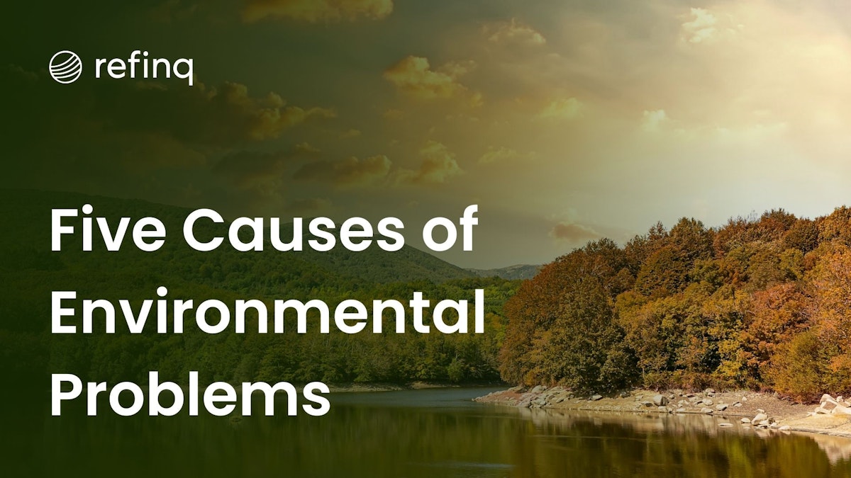 Illustration depicting the five basic causes of environmental problems: pollution, deforestation, climate change, overpopulation, and resource depletion.