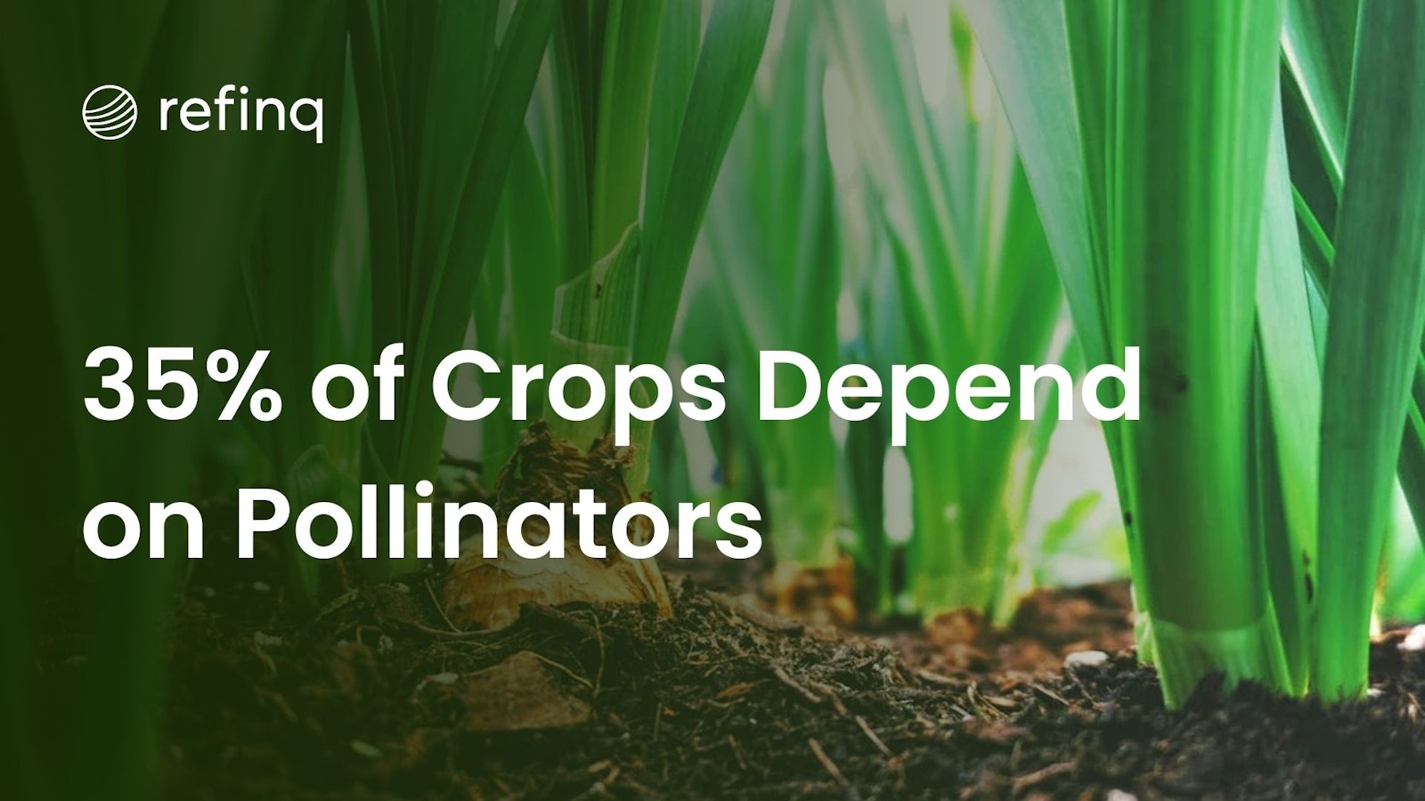 Pollinators' Impact on Global Crops and Carbon Dilemma