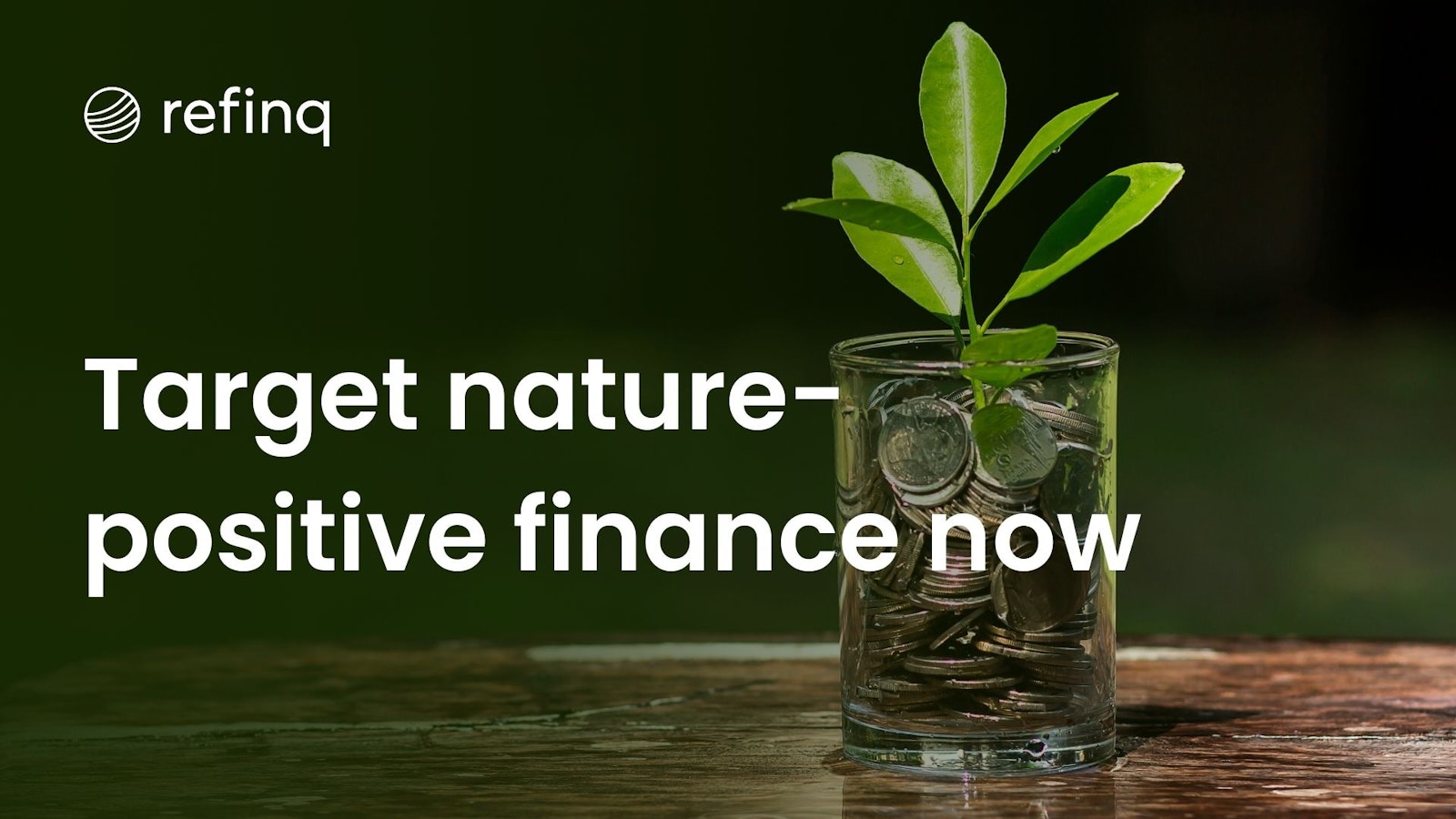 Target nature-positive finance now