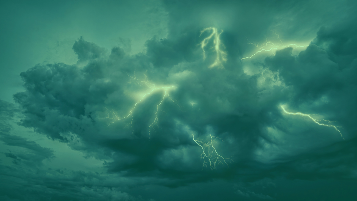 Understanding the Intrinsic Motivation Behind Climate Risk Disclosure in Business
