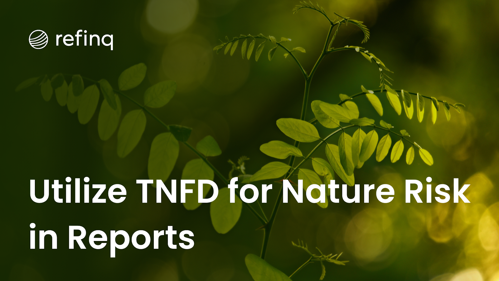 Utilize TNFD for Nature Risk in Reports