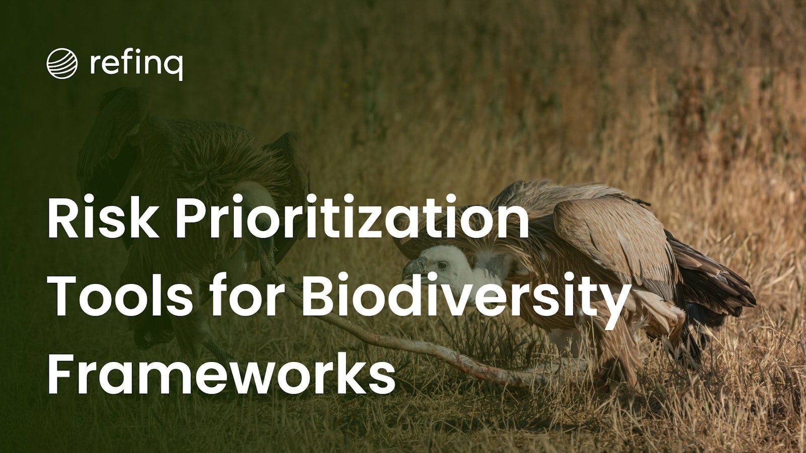 Prioritize biodiversity risk effectively