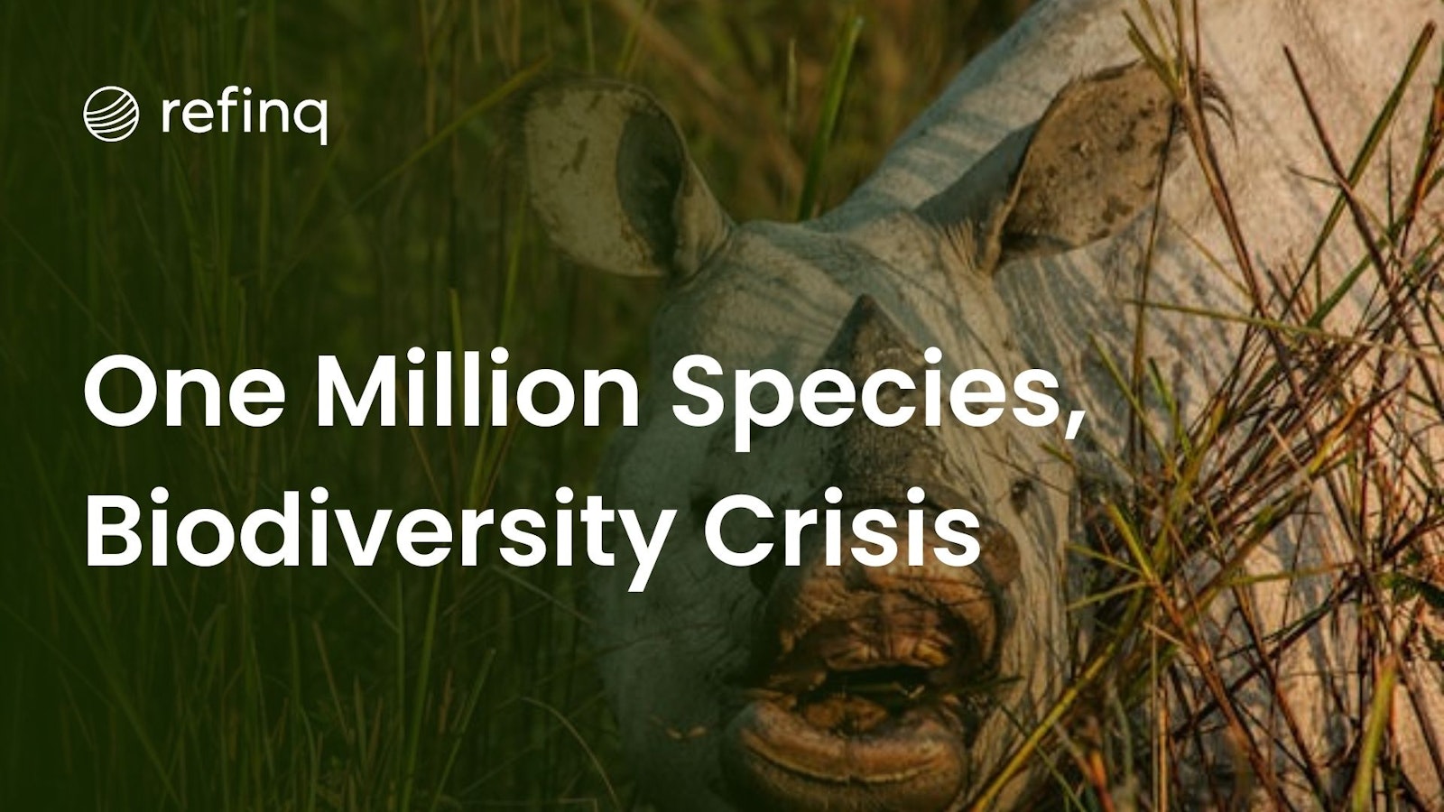 "Endangered species facing biodiversity crisis