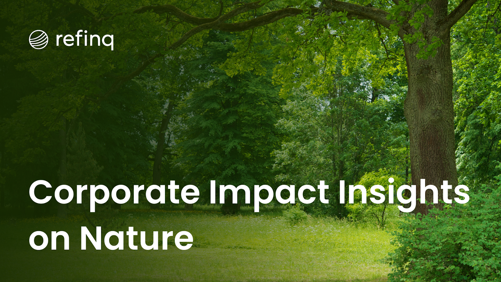 Corporate Impact Insights on Nature