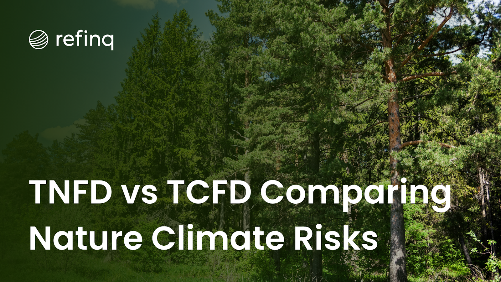 TNFD vs TCFD Comparing Nature Climate Risks