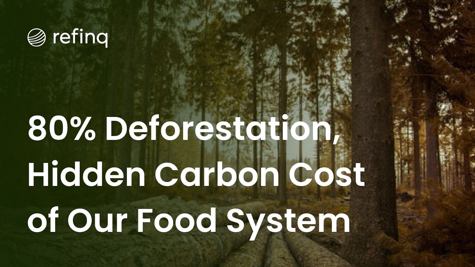 Deforestation and Carbon Impact of Food System