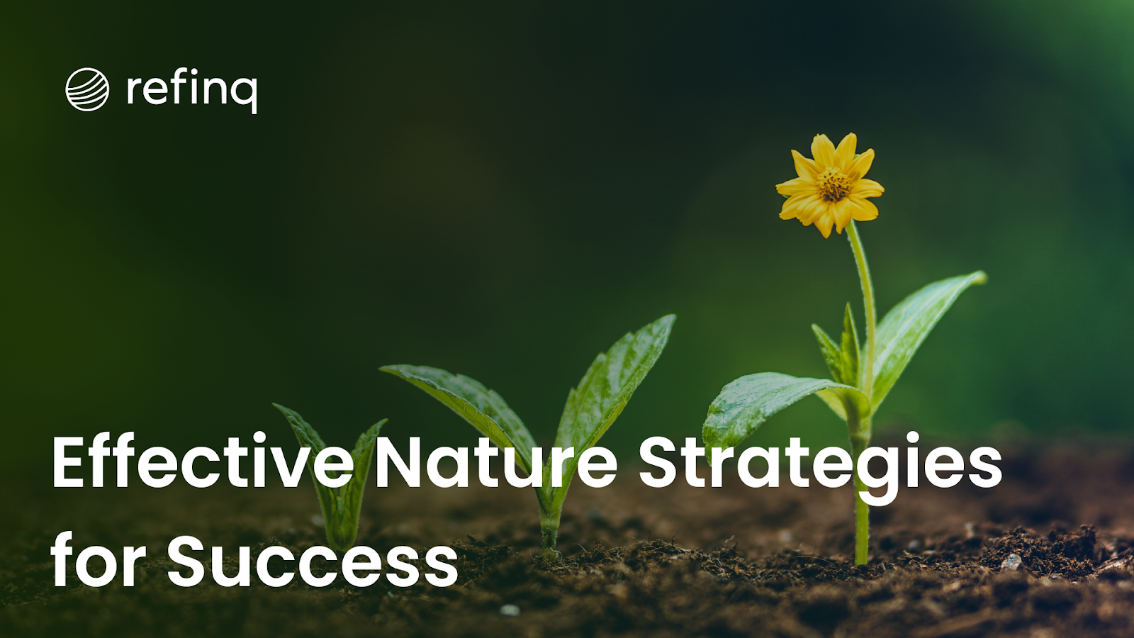 Effective nature strategies drive sustainability