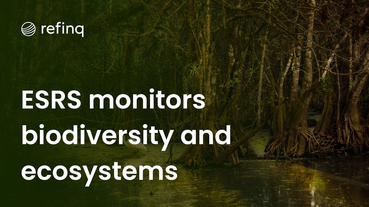 Monitoring Biodiversity and Ecosystems with ESRS E4: Advanced Environmental Surveillance and Reporting System for Sustainable Conservation Efforts