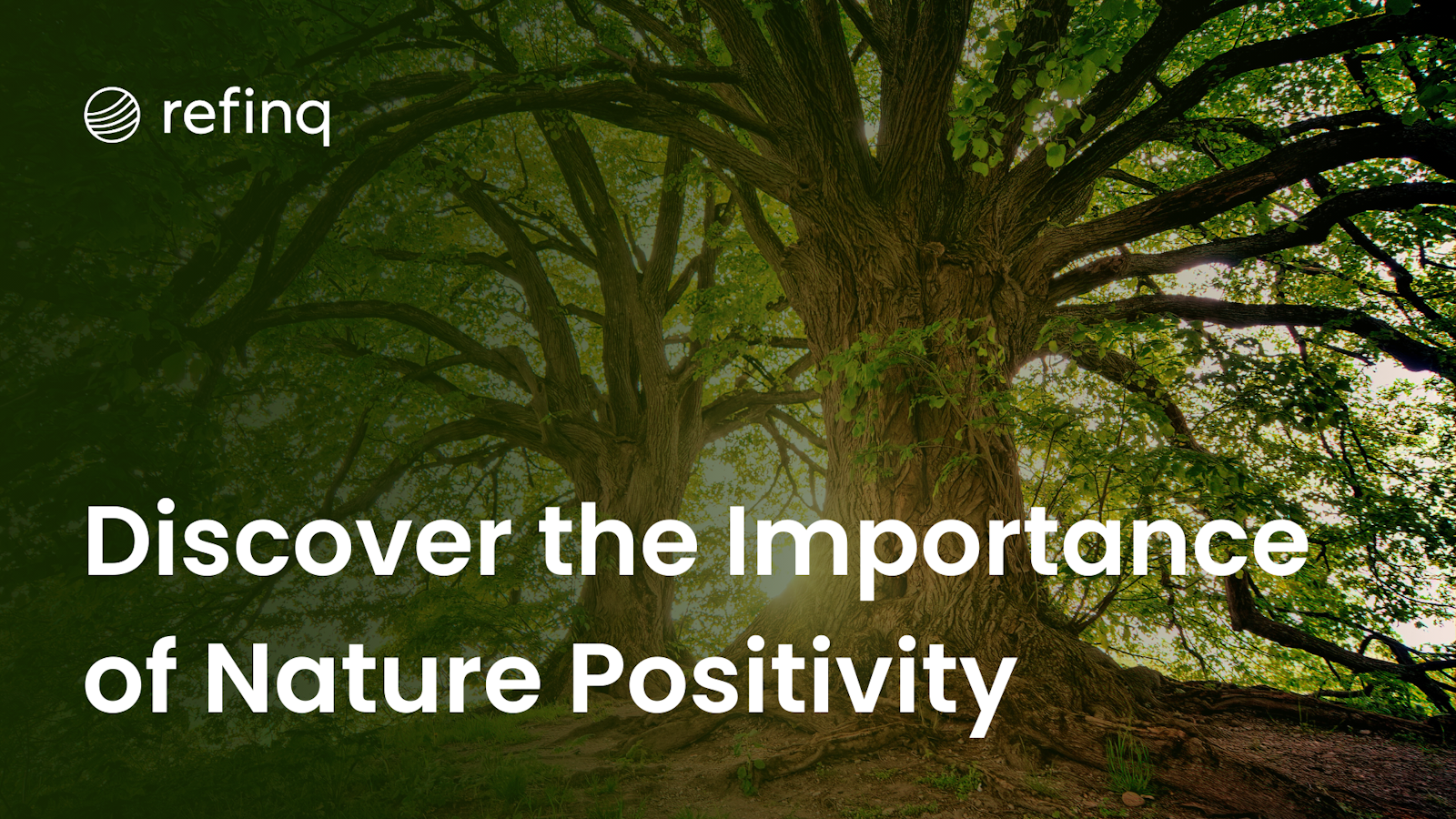 Discover the Importance of Nature Positivity