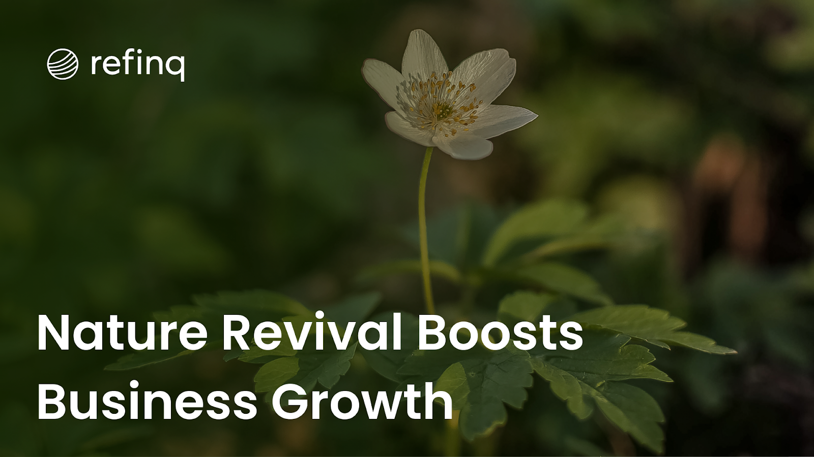 Nature Revival Strategies for Business Growth: Sustainable Practices for Boosting Profitability and Environmental Impact