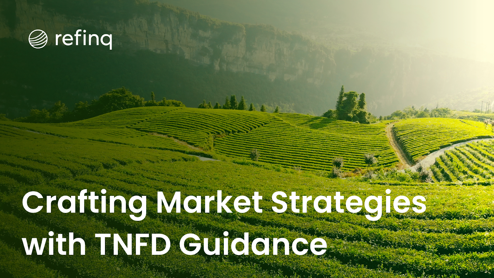 TNFD strategies lead to market growth