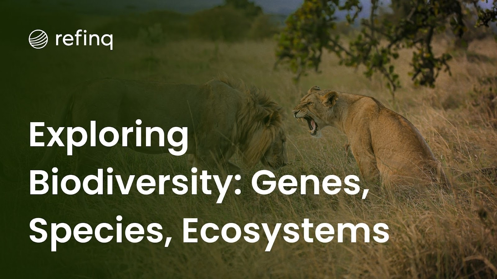 Exploring Biodiversity: Genes, Species, Ecosystems