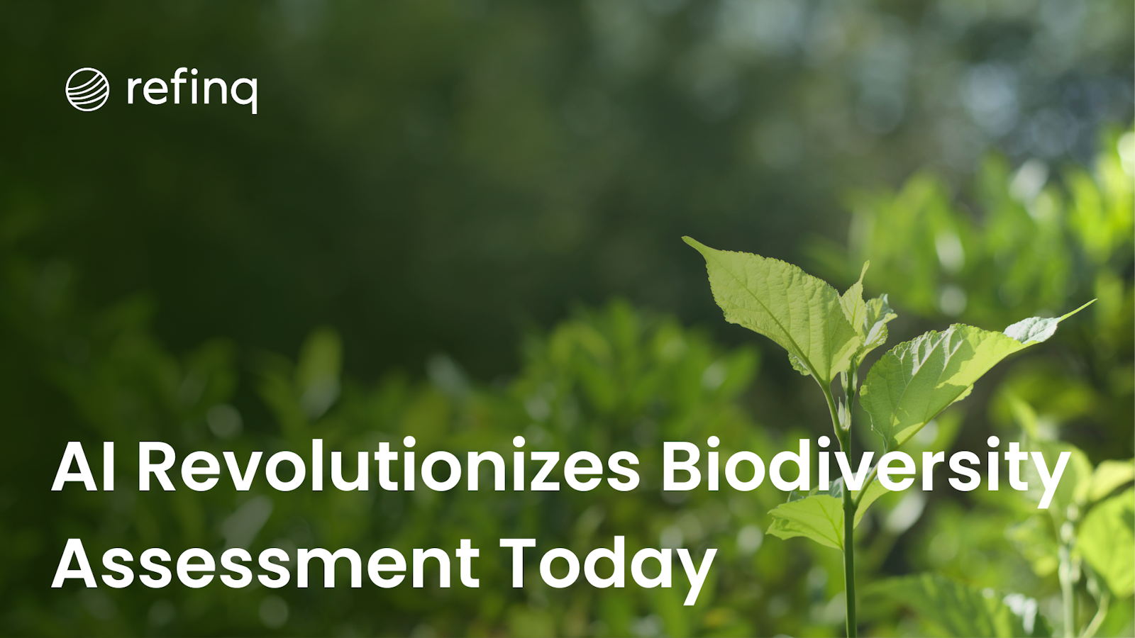 AI Revolutionizes Biodiversity Assessment Today