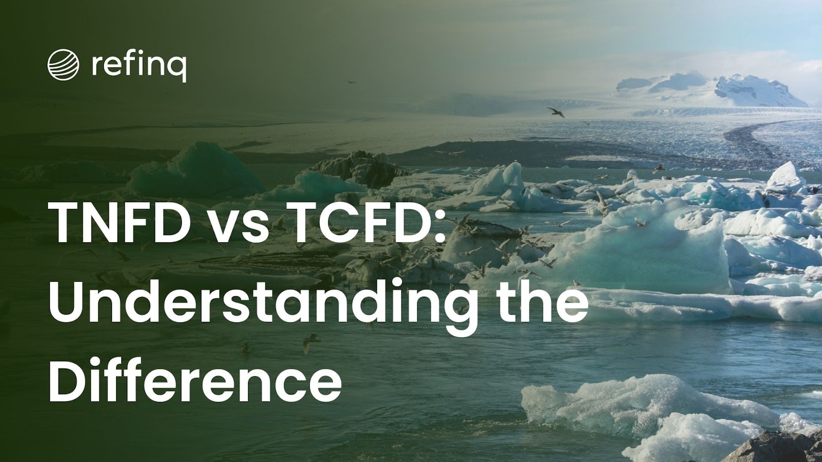 Comparison of TNFD and TCFD: Understanding Differences and Similarities in Sustainability Reporting Frameworks