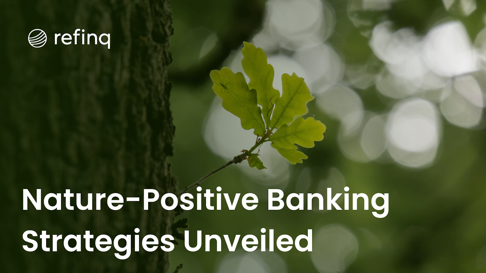 Nature-Positive Banking Strategies Unveiled