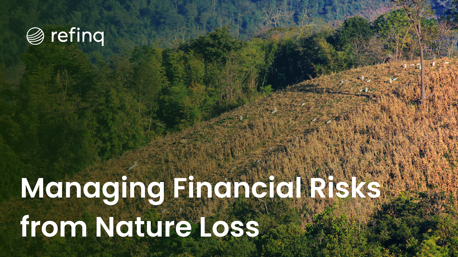 Managing Financial Risks from Nature Loss