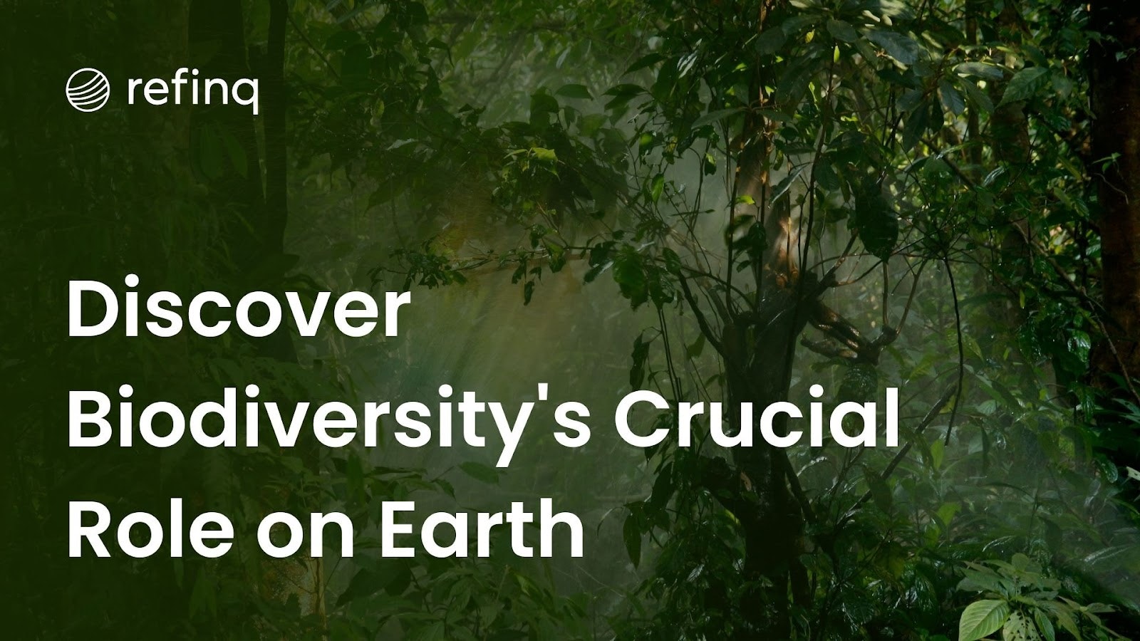 Discover Biodiversity's Crucial Role on Earth