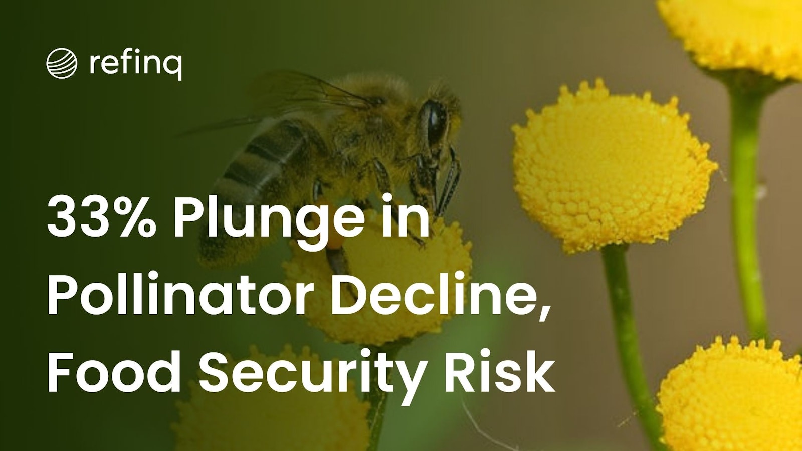 Pollinator decline threatens global food security