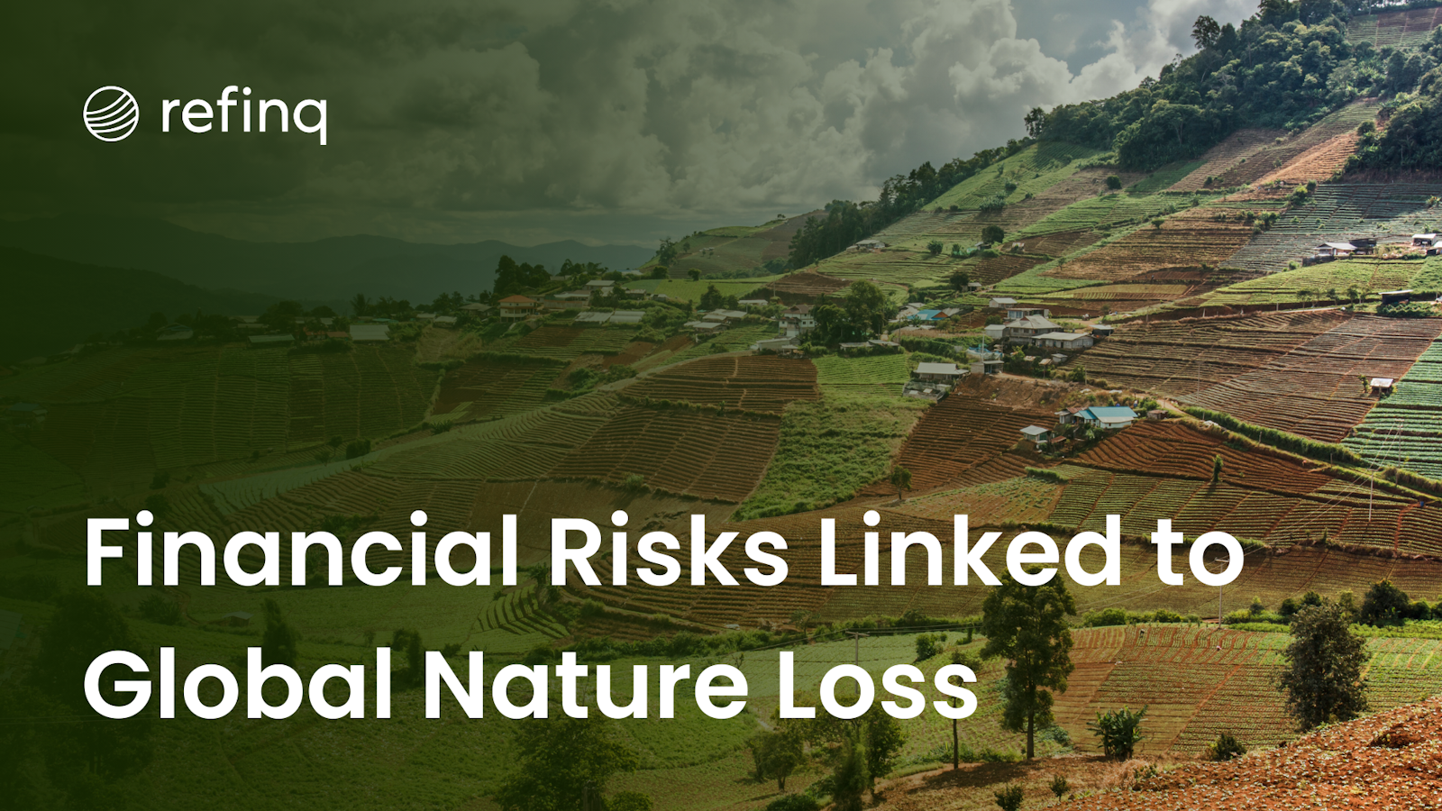 Financial Risks Linked to Global Nature Loss