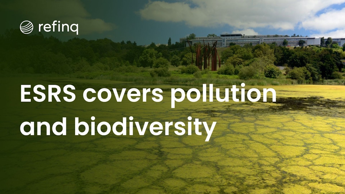 Pollution and Biodiversity in ESRS Reporting: Environmental Impact Analysis