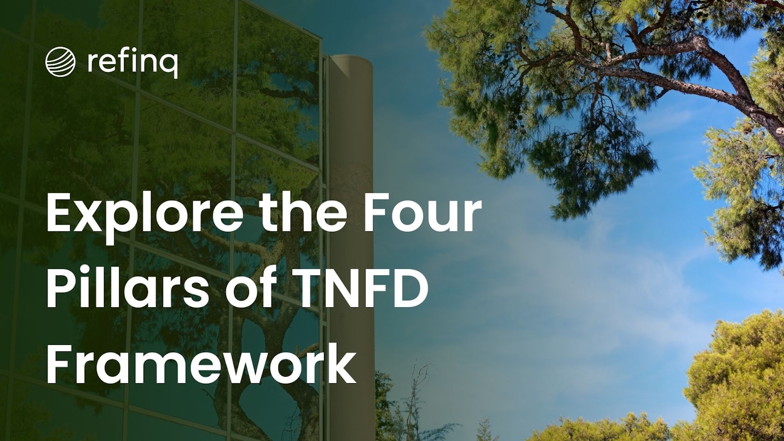 TNFD's four pillars support sustainability