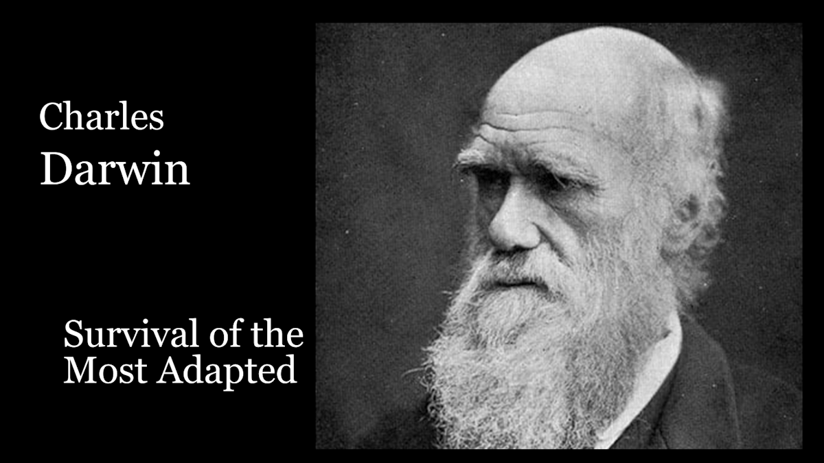 Charles Darwin portrait — Survival of the Most Adapted, Foundations of Innovation series