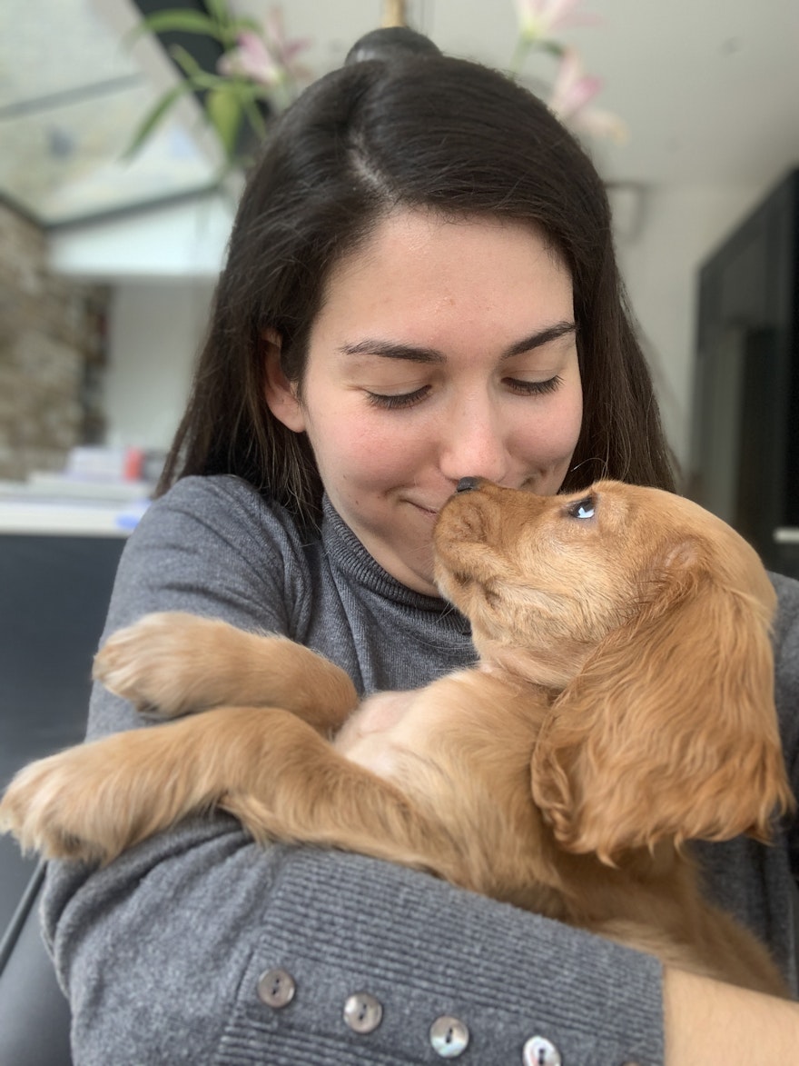 How my pet-sitting side hustle netted me £500 in just one month