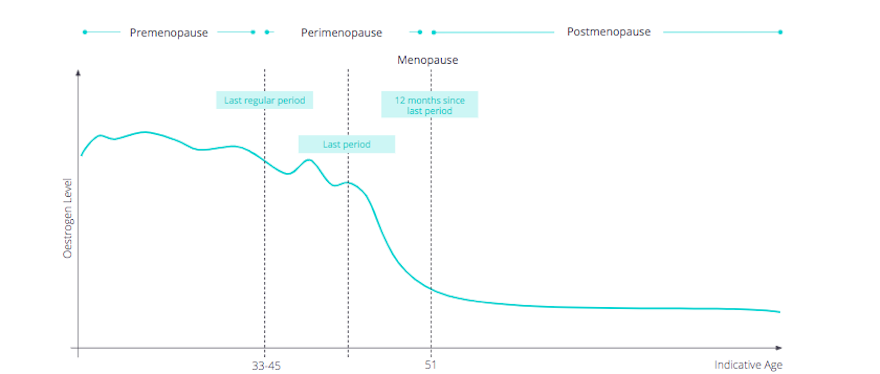The stages of menopause