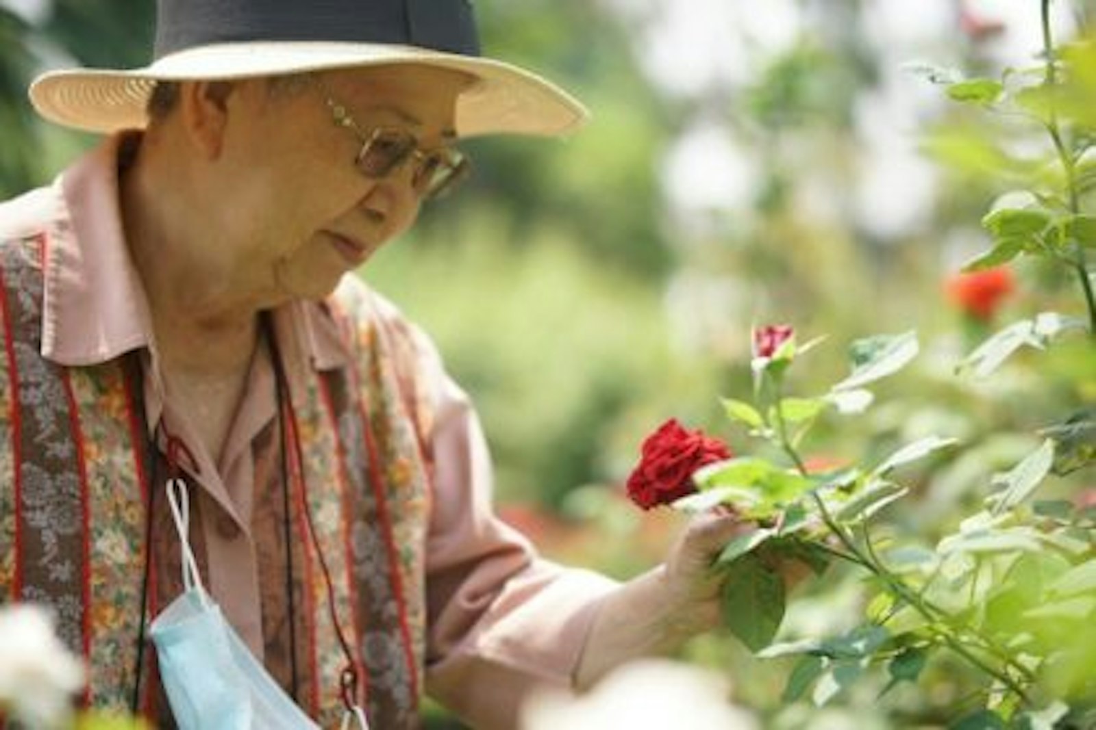 Five Gardening Benefits for Elderly