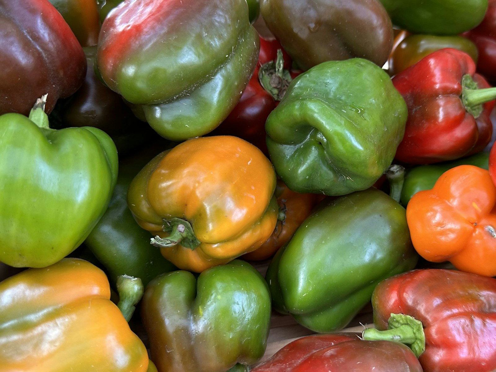Savor the Season: 10 Ways to Use Extra Summer Produce