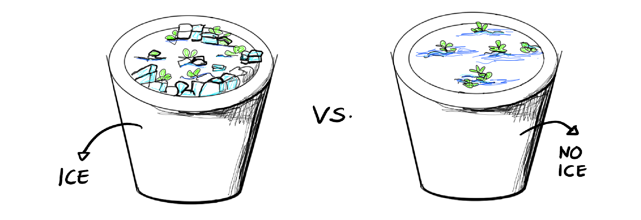 optimal-water-temperature-for-ice-water-hash-production