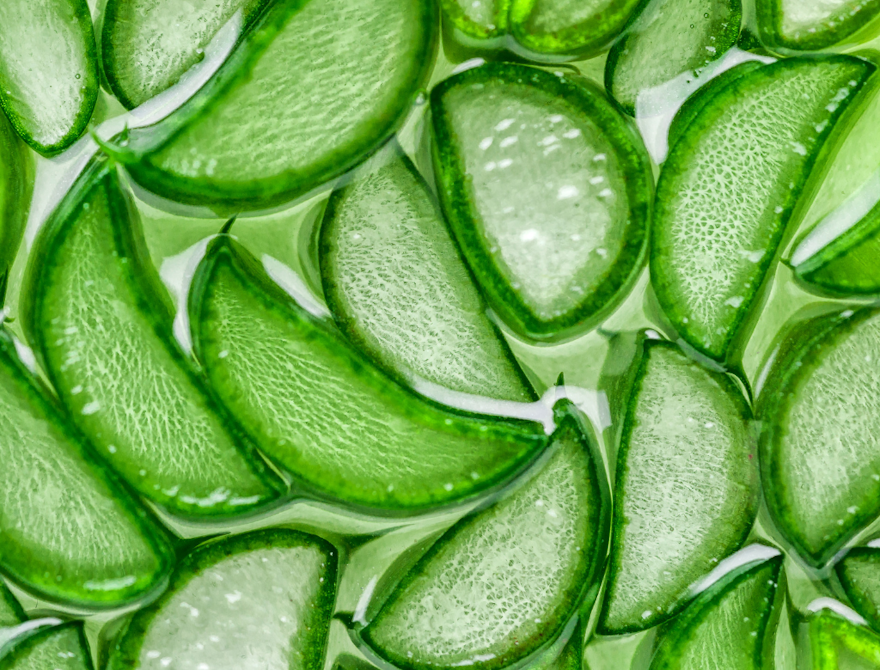 Aloe vera : l’élixir végétal