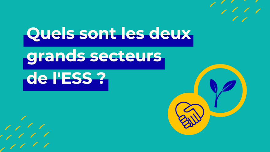 secteur économie social et solidaire