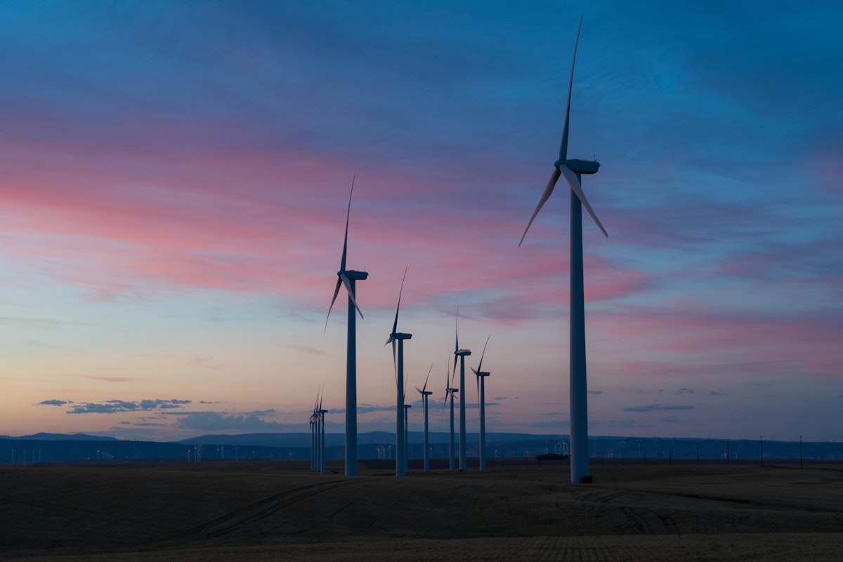 How to carbon offset my advertising campaign?