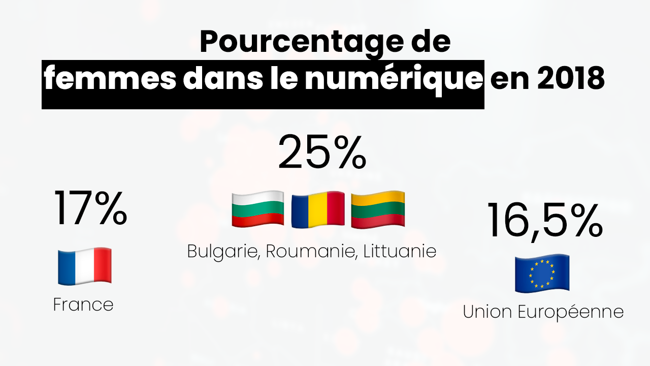 Stats femmes numériques, développeuse web