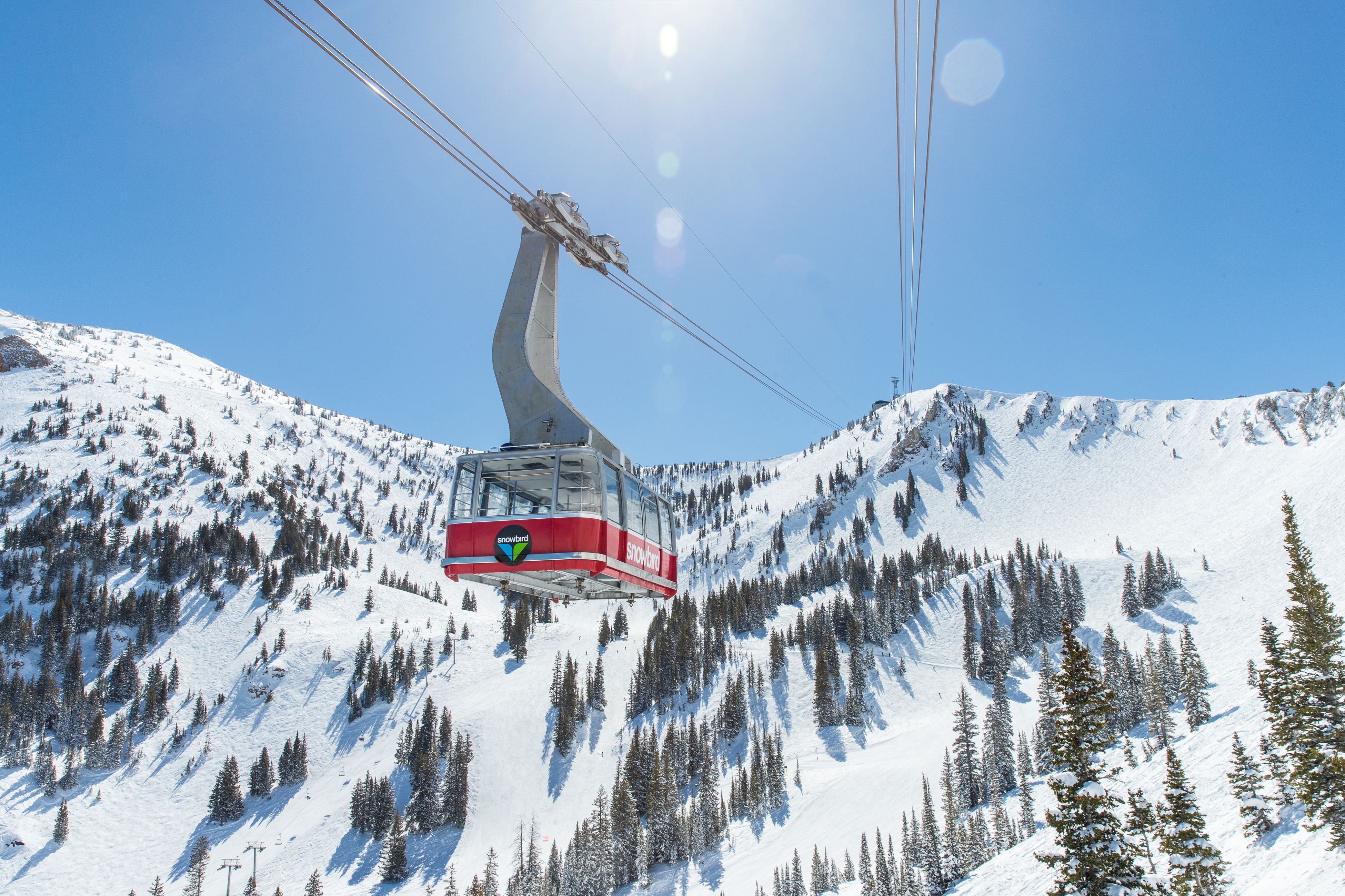 Snowbird Internet.jpg