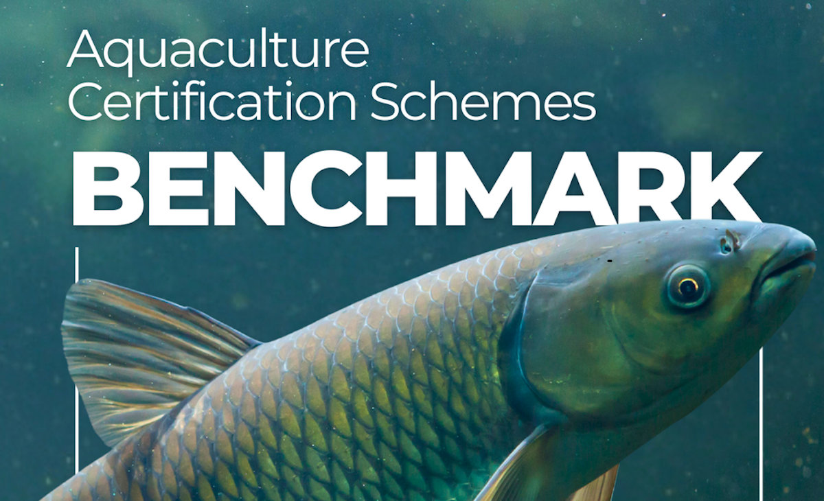 Cover page of Aquatic Life Institute's 2025 Aquaculture Certification Schemes Benchmark