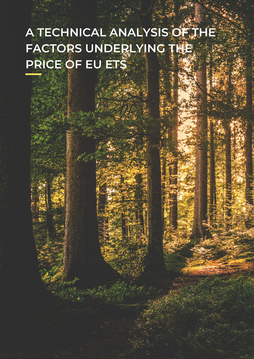 A Technical Analysis of the factors underlying the price of EU ETS