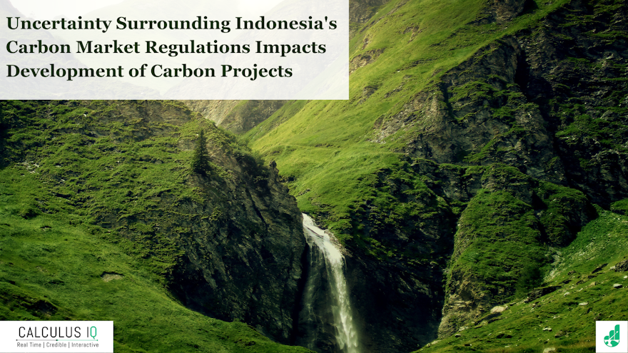 Uncertainty Surrounding Indonesia's Carbon Market Regulations Impacts Development of Carbon Projects
