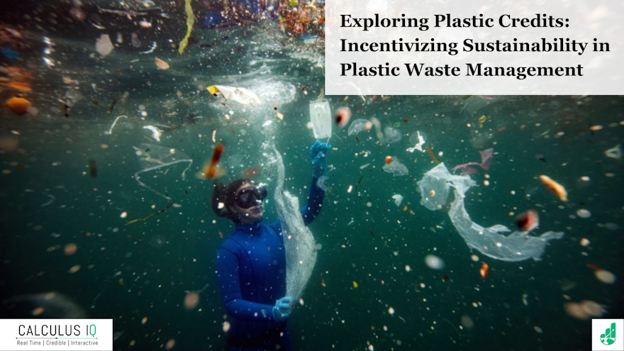 Exploring Plastic Credits: Incentivizing Sustainability in Plastic Waste Management