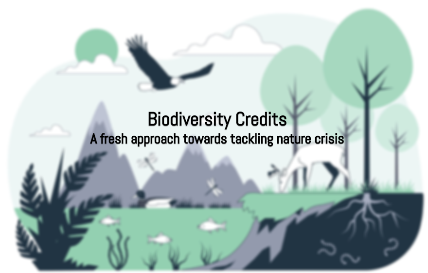Innovative Solution for Nature Crisis: Global Biodiversity Credits