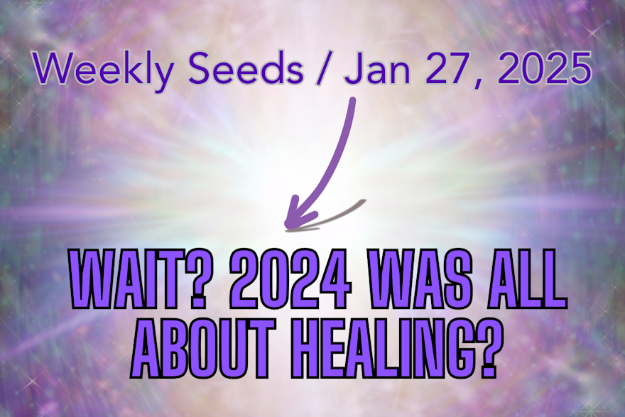 Wait? 2024 Was All About Healing?