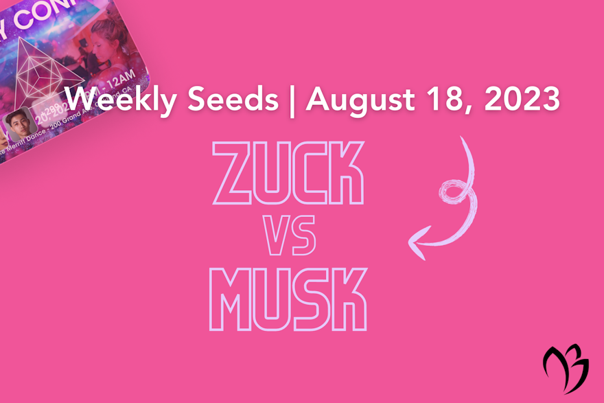 zuck vs. musk