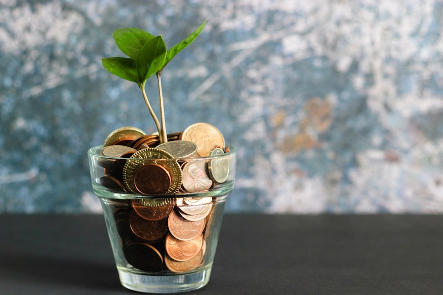 Coins in a pot with sprouting plant
