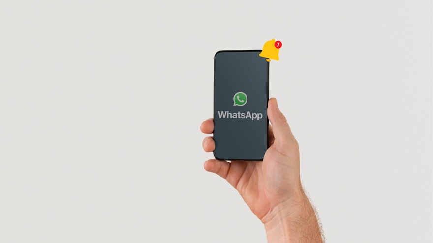 What is Loyalty Program on WhatsApp?