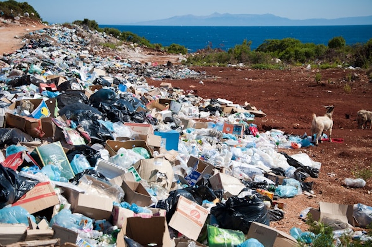 Quand le greenwashing se retourne contre vous : comment concevoir une campagne véritablement éco-responsable et axée sur le cause marketing