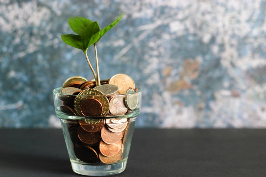monnaie, arbre, épargne