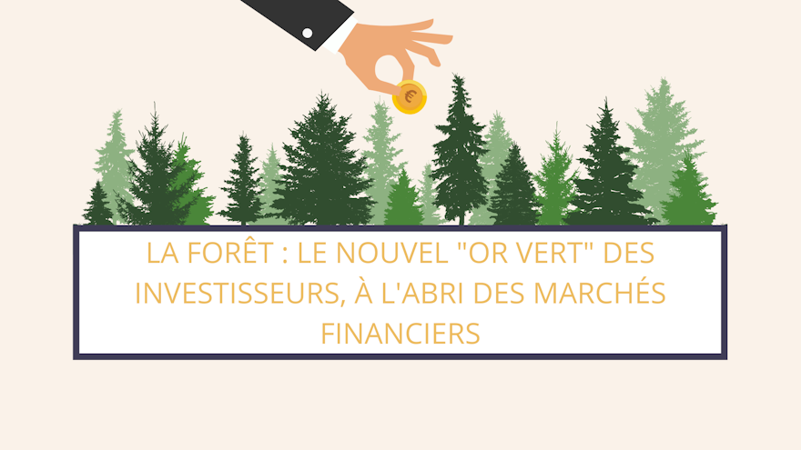 La forêt est un investissement qui présente de nombreux avantages