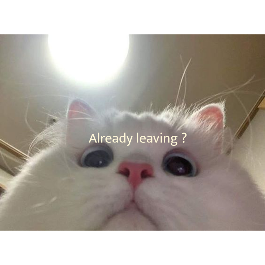 landingpage_catto.png
