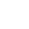 logo_white_scrapfast (4).png